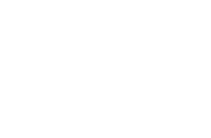 Money Icon
