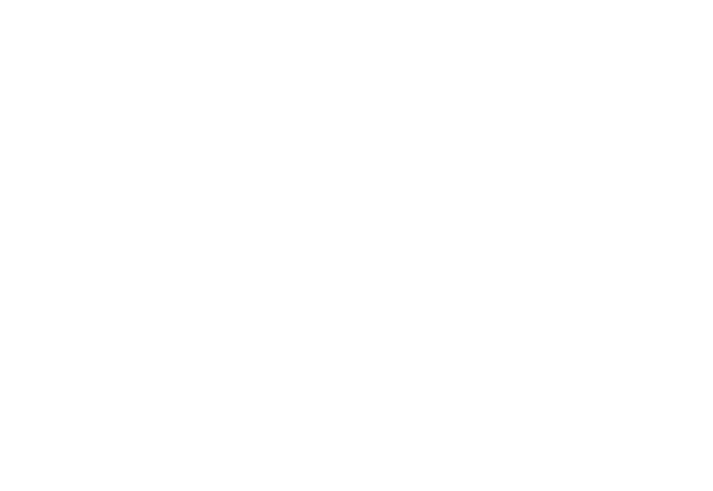 Partnerships Icon